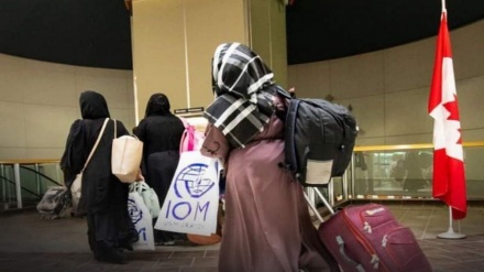  ۲۶۷ پناهجوی افغانستانی به کانادا منتقل شدند 