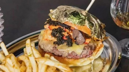 امریکا کې یو برګر په ۷ سوه ډالر ؛