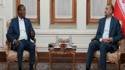 עבדולהיאן מדגיש נכונות איראן לפתח היחסים עם מדינות אפריקה