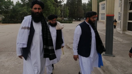 حضور مقامات وزارت خارجه طالبان در همایش ملی افغانستان در دانشگاه فردوسی مشهد 