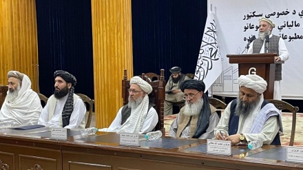طالبان به بخش خصوصی تخفیف مالیاتی می‌دهد