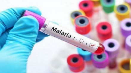 رشد 47 درصدی مبتلایان به مالاریا در افغانستان