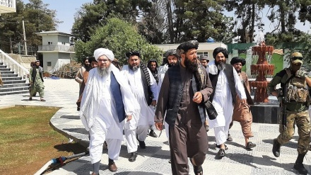 طالبان: کار استخراج دو معدن در فاریاب آغاز می‌شود