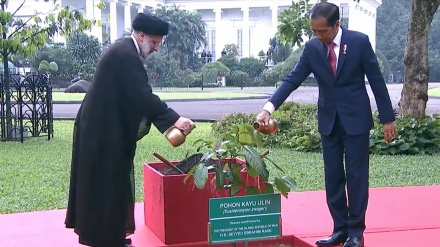 Presiden Iran Tanam Bibit Pohon Ulin di Belakang Istana Bogor
