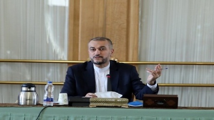 עבדולהיאן מדגיש נכונות איראן לפתח היחסים עם מדינות אפריקה