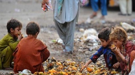 هشدار سازمان پزشکان بدون مرز از افزایش سوءتعذیه در میان کودکان افغانستان