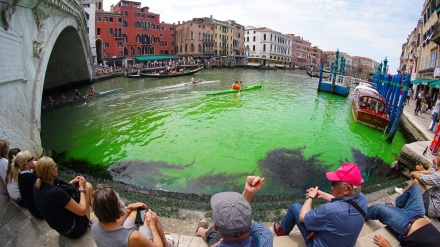 伊ベネチア運河の蛍光色には、環境活動家が関与している可能性