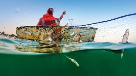 ペルシャ湾ヘンガーム島の漁師の女性