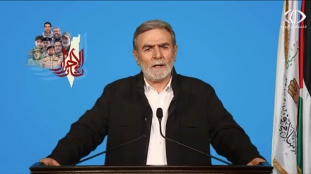 Islamischer Dschihad warnt Israel vor jeglichem Terrorakt