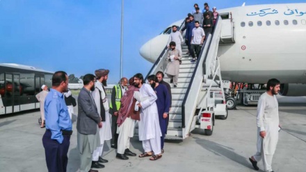 انتقال دومین گروه شهروندان افغان گیرمانده در سودان به کابل