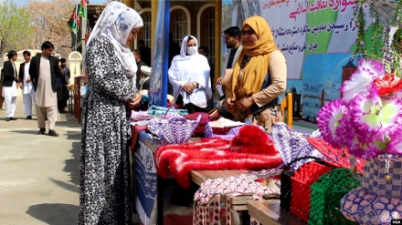 تاکید اتاق تجارت و صنایع زنان افغانستان بر ادامه کار و فعالیت بانوان