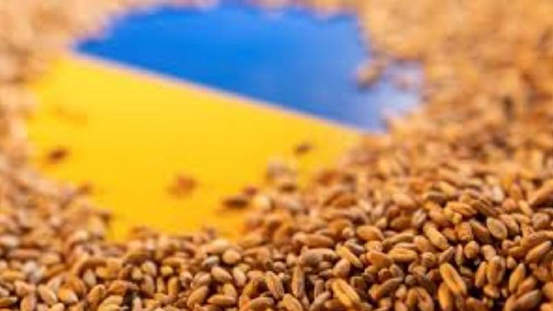 Ungheria, Commissione europea mente sulla situazione del grano ucraino