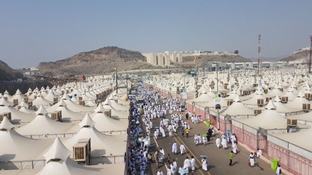 Muslim pilgrims mark day of Arafah, a high point of Hajj on Mount Arafat in Saudi Arabia