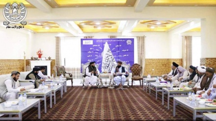 تاکید والی بلخ بر توجه به حقوق شیعیان در  افغانستان