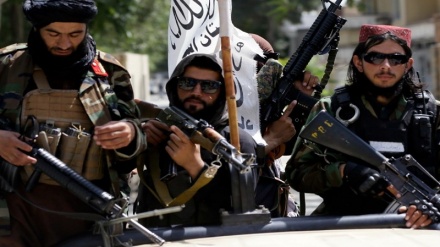عفو بین الملل، اقدامات طالبان در پنجشیر را مصداق جنایت جنگی خواند