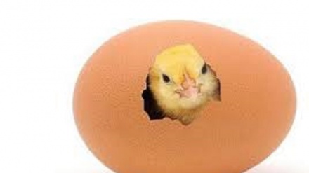 Gallina o uovo: chi è nato prima?