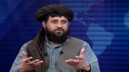 طالبان همکاری با اعضای القاعده را به شدت رد کرد