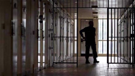  Seven Iranians released from Qatar prisons return home: Envoy 