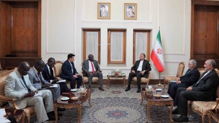 Foreign minister: Developing relations with African countries on Iran's agenda