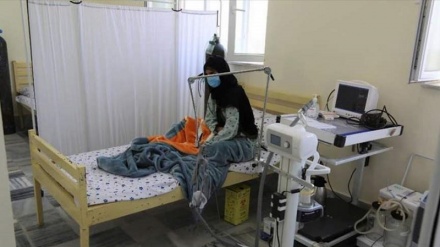 شیوع تب کنگو در شمال افغانستان 