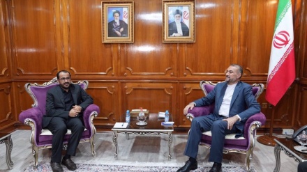 Ansarullah elogia gli sforzi dell'Iran per porre fine alle sofferenze dello Yemen