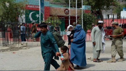 ورود سازمان ملل به مسئله آزار و اذیت پناهجویان افغان در پاکستان
