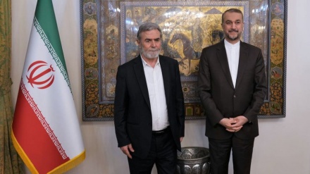 Amir Abdulahjan: Regjimi sionist është burimi i pasigurisë dhe destabilitetit në rajon