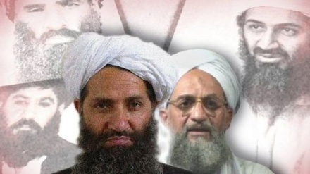 گزارش شورای امنیت سازمان ملل متحد در مورد طالبان افغانستان