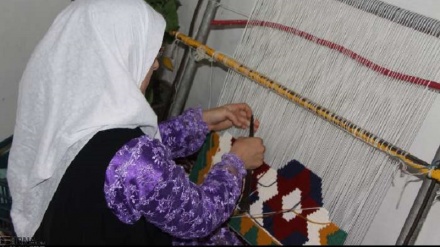 Bə nəcimə(zərifə) sənaye ruji ayid məxsusə bərnomə