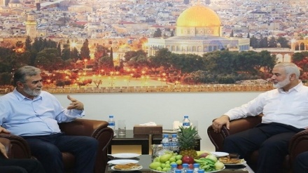 Hamasi dhe Xhihadi Islamik kundërshtojnë një armëpushim afatgjatë me regjimin sionist