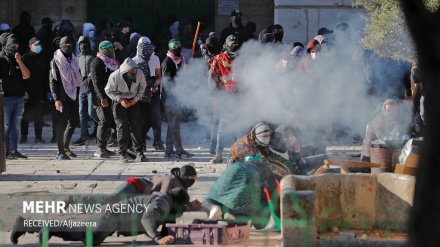 45 палестинцев были ранены на севере ЗБРИ