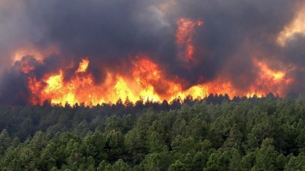 カザフスタンで山火事、14人死亡