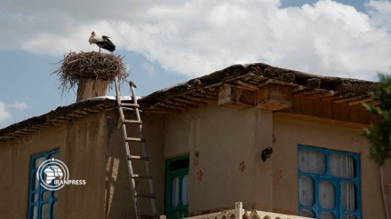 (FOTO) Zarivar, villaggio delle cicogne - 2
