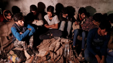 د ترکیې مامورانو افغان پناه غواړي ډير کړولي دي 