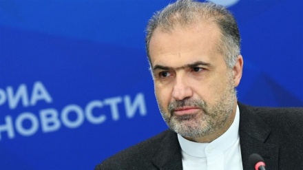 Встреча посла Ирана в Москве с национальным координатором России в Шанхайской организации сотрудничества