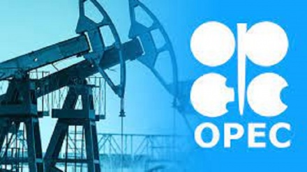 Opec+: tagli a produzione petrolio 2024 