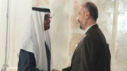 Ամիր Աբդոլլահյանը հանդիպել է  Արաբական Միացյալ Էմիրությունների   նախագահի հետ