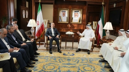 Emir Abdullahian'ın Kuveyt Dışişleri Bakanı ile görüşmesi
