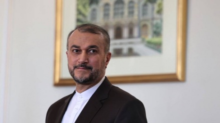 Abdollahian: urgentemente necessaria una cooperazione strategica tra gli stati del Golfo Persico + VIDEO