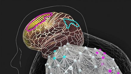 Le persone molto intelligenti sono più lente a rispondere a problemi complessi, lo studio