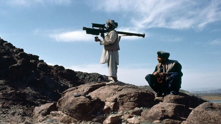 ابراز نگرانی سازمان ملل از تبدیل افغانستان به مکانی برای گسترش تروریسم