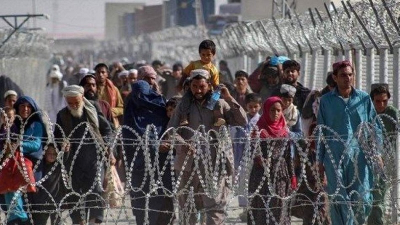 درصد بالایی از پناهجویان جهان شهروندان افغانستان هستند