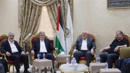 Hamasi ka marrë përgjigjen e Izraelit ndaj propozimit të ri për armëpushim në Gaza