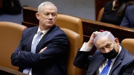 סקר : 
