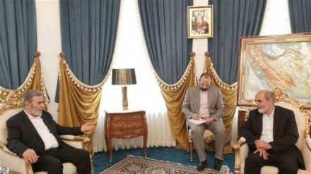 Regjimi sionist do të pësojë humbje me zgjerimin e bërthamave të rezistencës palestineze