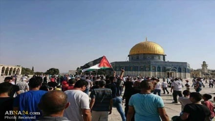 Komplot i ri kundër Shamisë Al-Aksa; sionistët synojnë ndarjen mes myslimanëve dhe hebrenjve