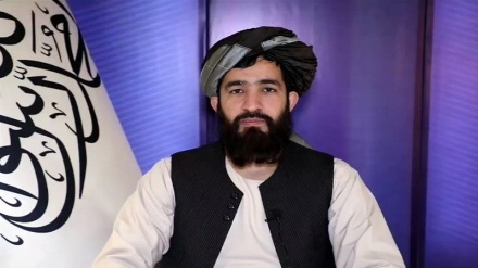 د طالبانو بهرنیو چارو وزارت په سویډن کې د قرآن‌کریم یوې نسخې سوځول وغندل
