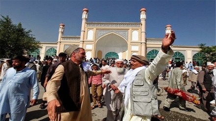 عید قربان در جنوب افغانستان؛ از شیرینی امنیت تا تلخی فقر