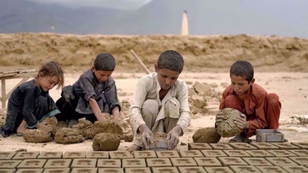 Nearly 1.6 million children trapped in child labor in Afghanistan