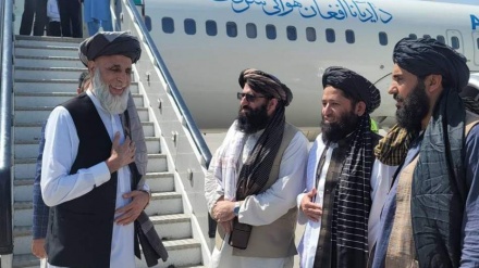 بازگشت نماینده سابق مجلس افغانستان به وطن